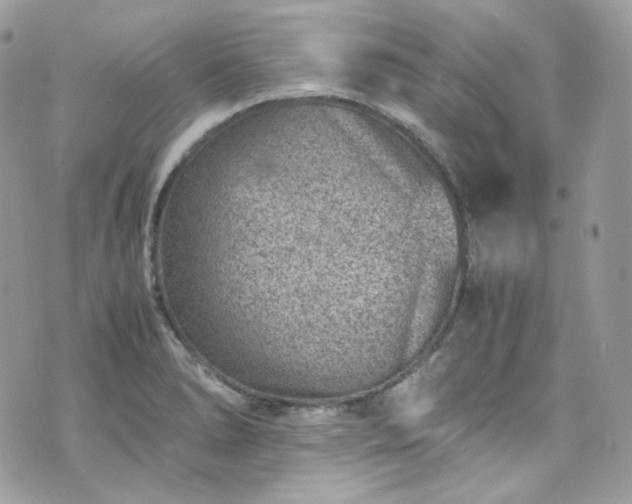 X0000070371278200606161308