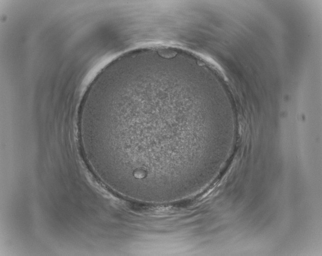 X0000070371279200606161308