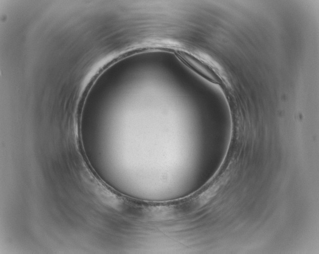 X0000070371280200606161308