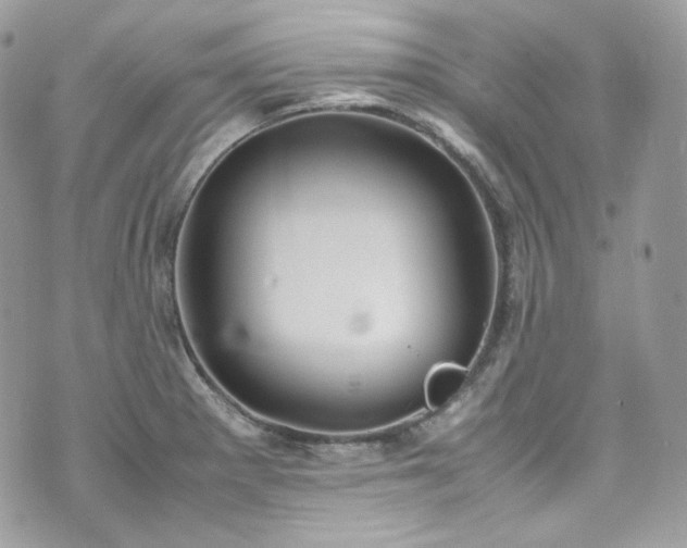 X0000070371281200606161307