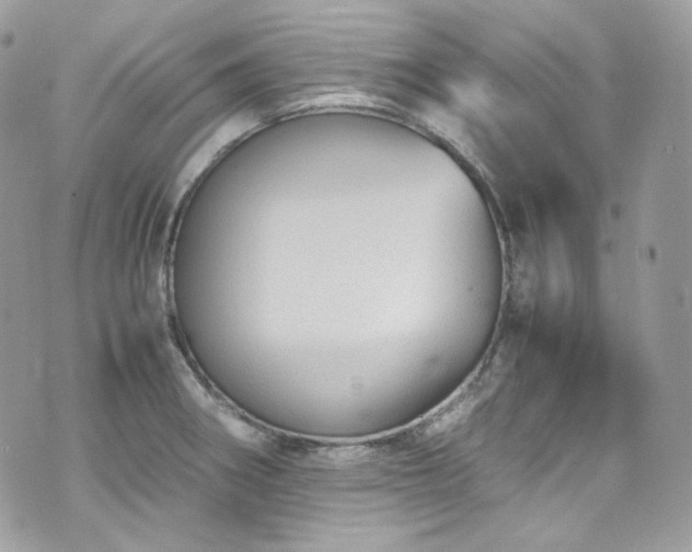 X0000070371282200606161307