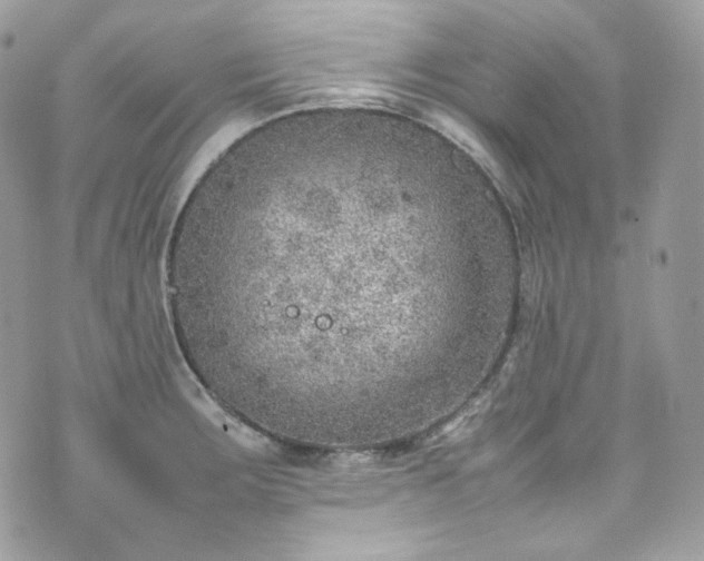 X0000070371283200606161307