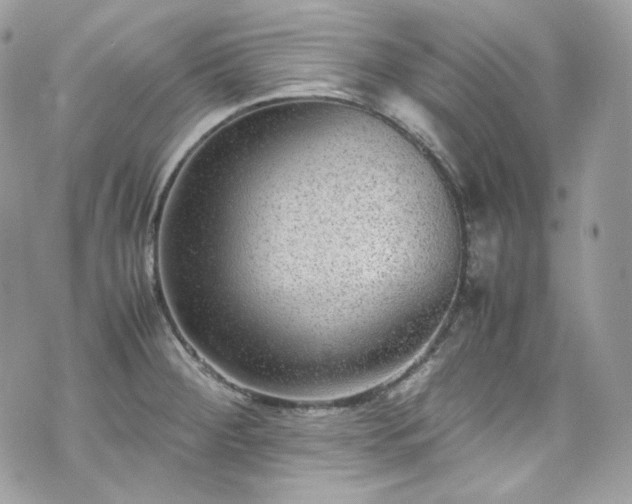 X0000070371284200606161307