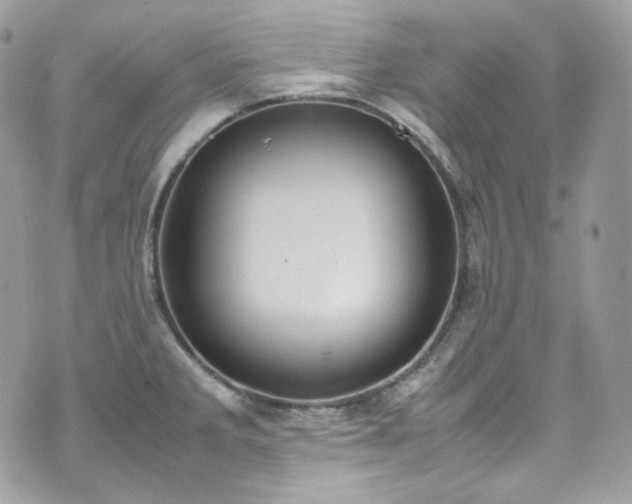 X0000070371285200606161307