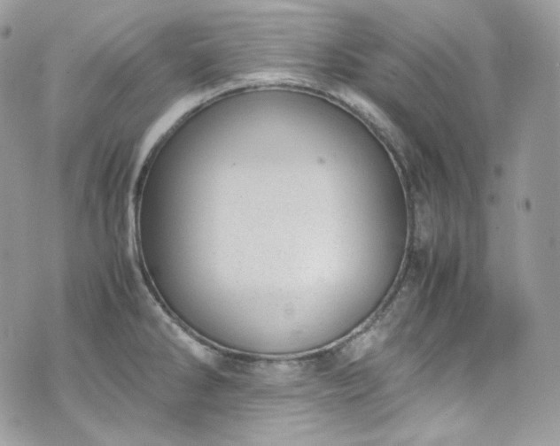 X0000070371286200606161307