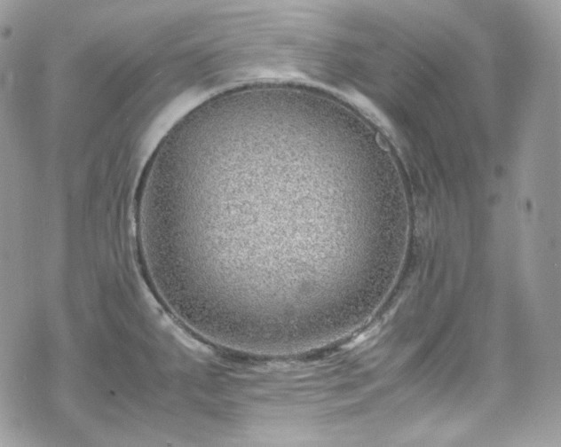 X0000070371287200606161307