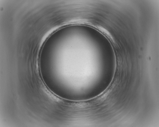 X0000070371288200606161307