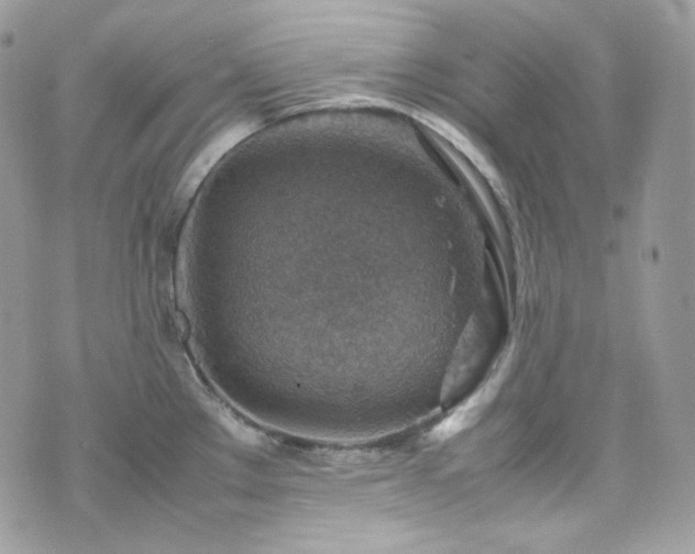 X0000070371289200606161307