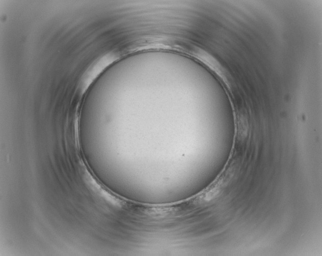 X0000070371290200606161307