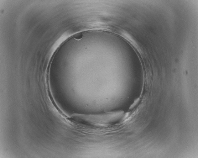 X0000070371291200606161307