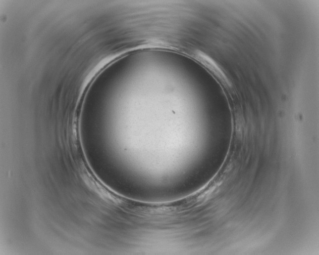 X0000070371292200606161307