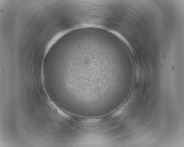 X0000070371294200606161307