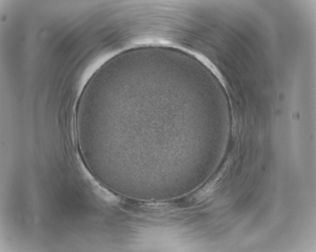 X0000070371295200606161307