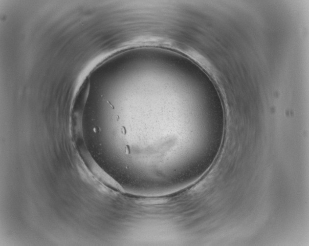 X0000070371296200606161307