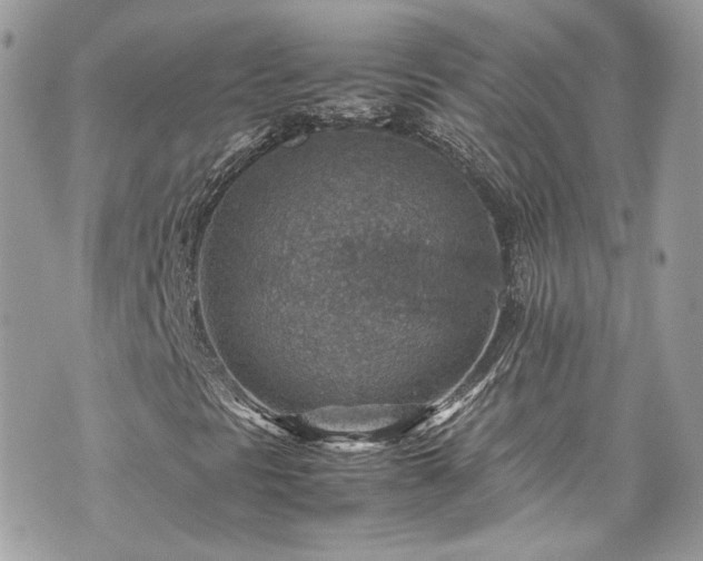 X0000070371297200606161306