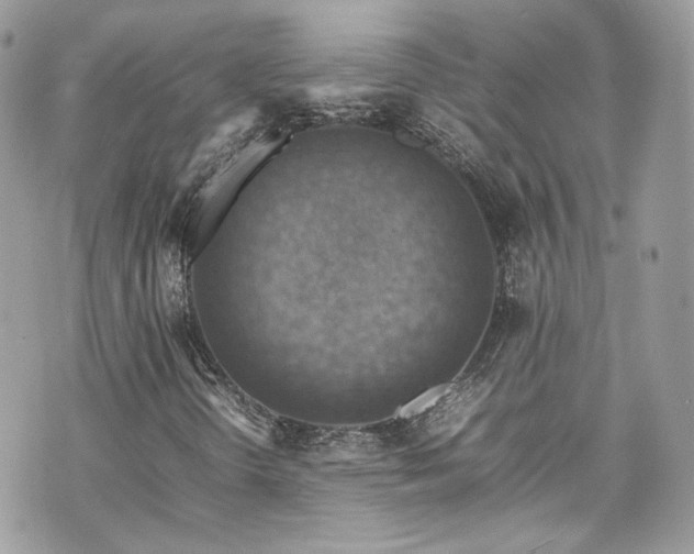 X0000070371298200606161306