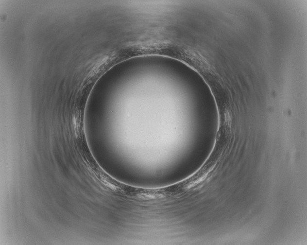 X0000070371300200606161307