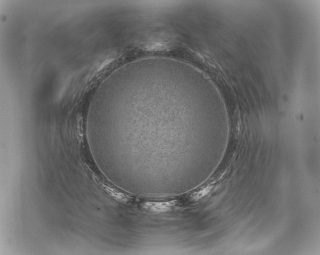 X0000070371301200606161307