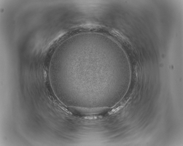 X0000070371302200606161307