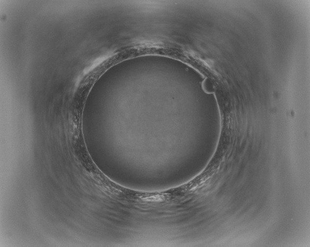 X0000070371303200606161307