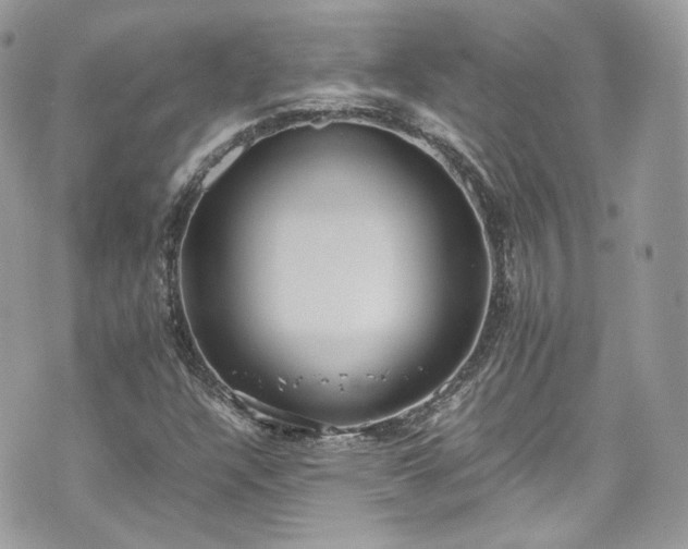 X0000070371304200606161307