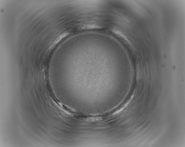 X0000070371305200606161307