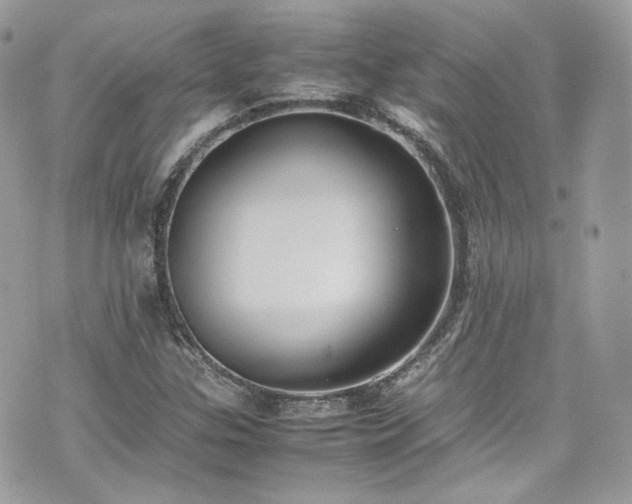 X0000070371307200606161307