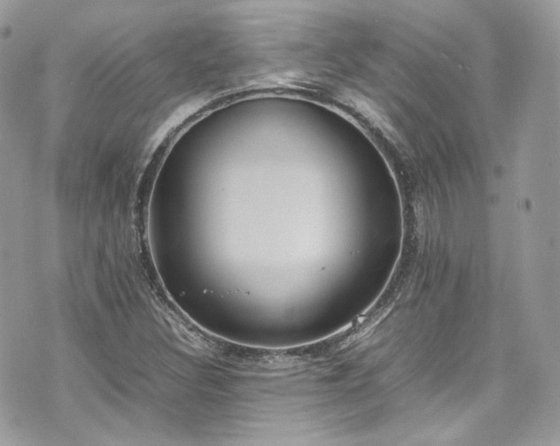 X0000070371308200606161307