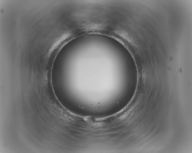 X0000070371309200606161307