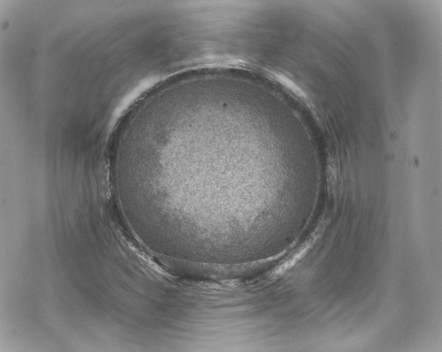 X0000070371310200606161307