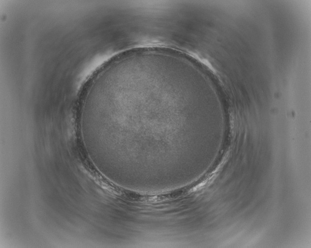 X0000070371311200606161307