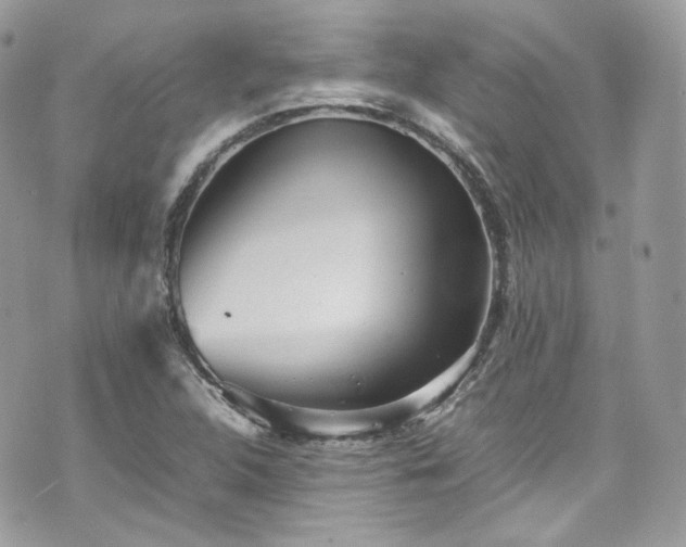 X0000070371312200606161307