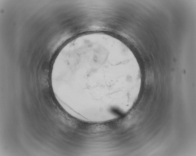 X0000070371314200606161307