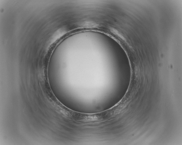 X0000070371315200606161307