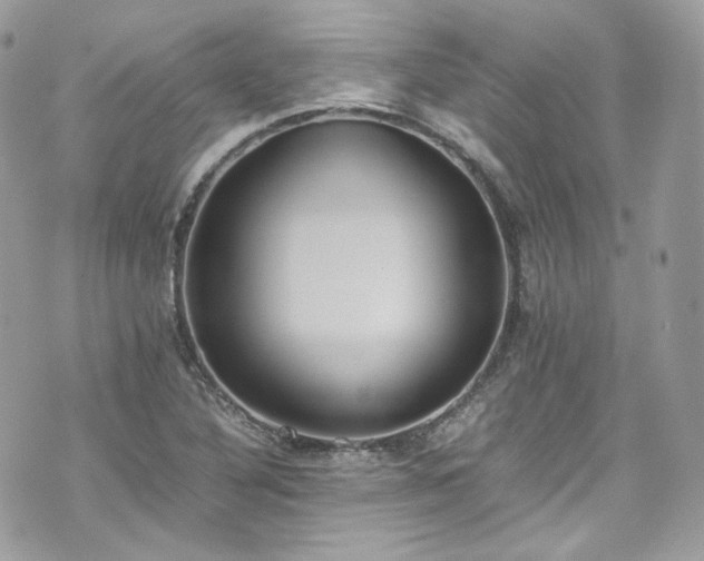 X0000070371316200606161307