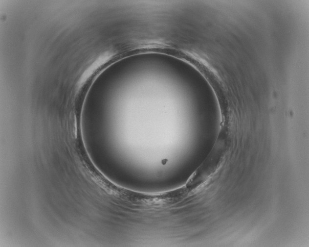 X0000070371317200606161307