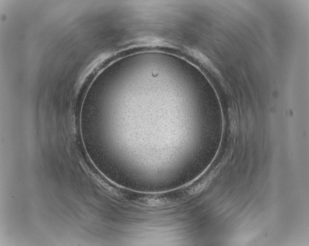 X0000070371318200606161307