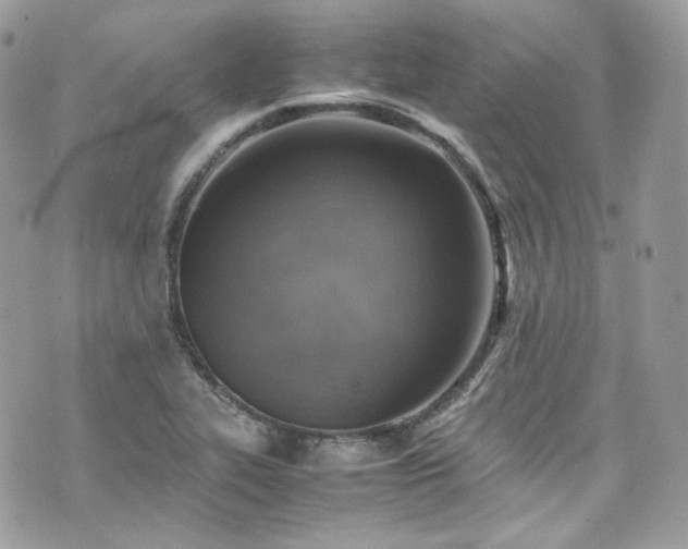 X0000070371319200606161307