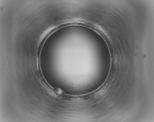 X0000070371320200606161307