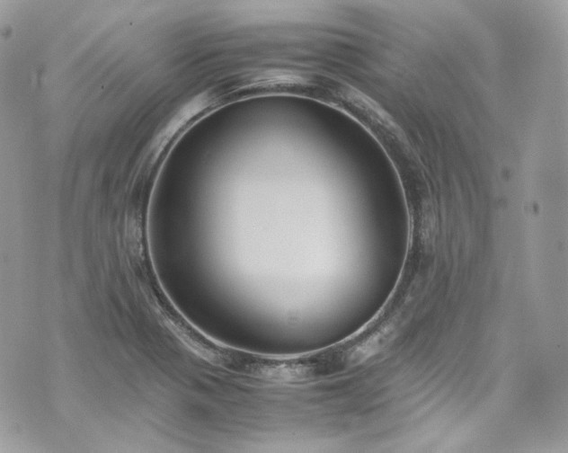 X0000070371321200606161307