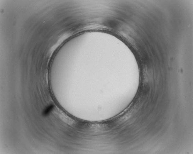 X0000070371322200606161307