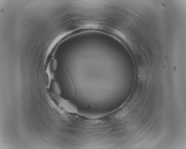 X0000070371323200606161307