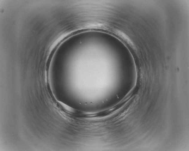 X0000070371324200606161307