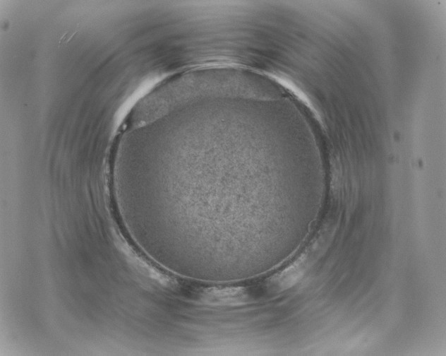 X0000070371325200606161307