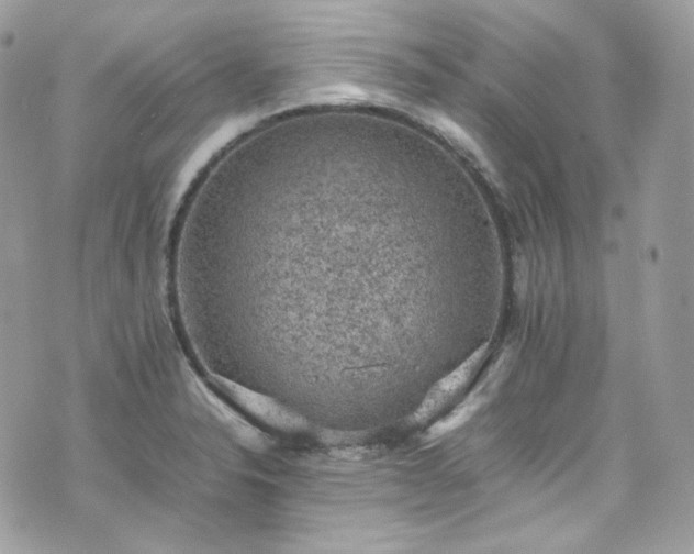 X0000070371326200606161307