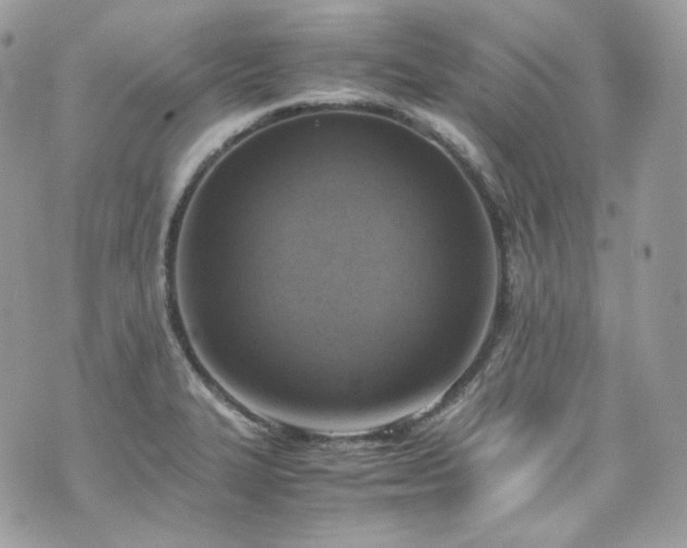 X0000070371327200606161307