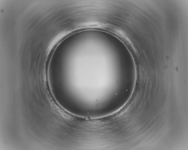 X0000070371328200606161307