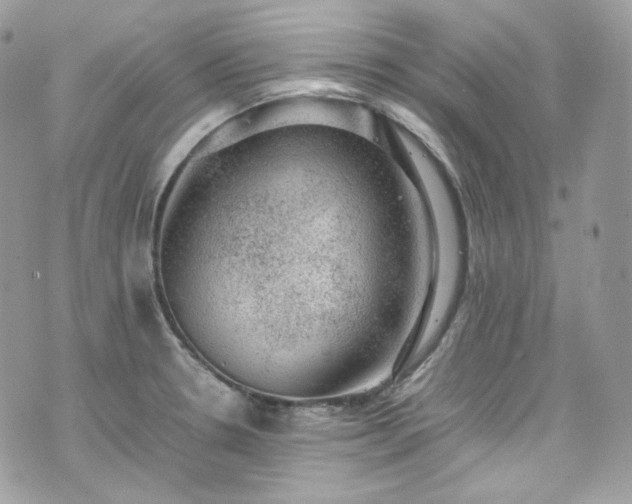 X0000070371330200606161307