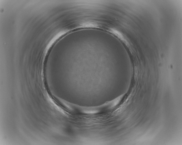 X0000070371331200606161307