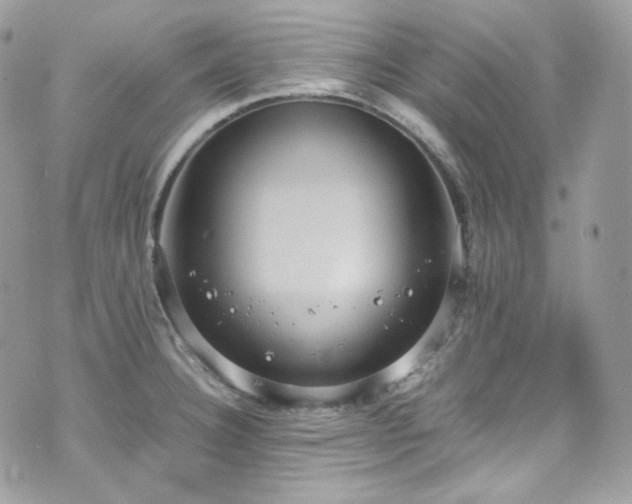 X0000070371332200606161307